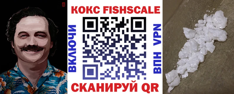 кракен зеркало  Иркутск  Cocaine Fish Scale 