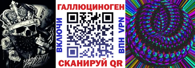 цена   Иркутск  Галлюциногенные грибы Cubensis 