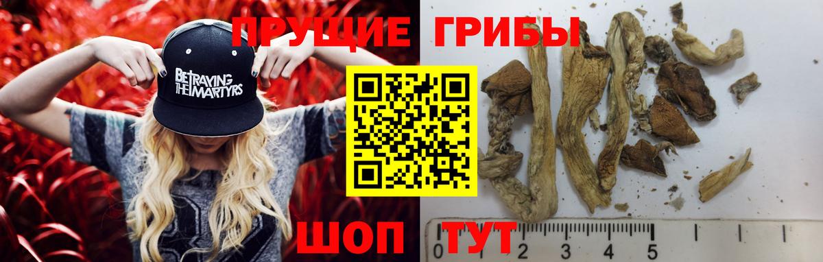 Иркутск  Псилоцибиновые грибы Psilocybe  Псилоцибиновые грибы мицелий  Вход с VPN 